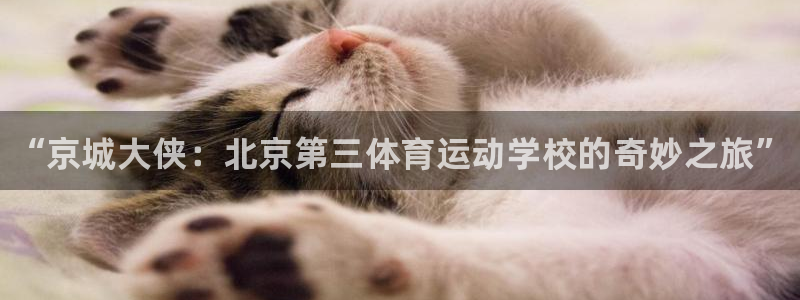 千亿国际官方正版app集团：“京城大侠：北京第三体育