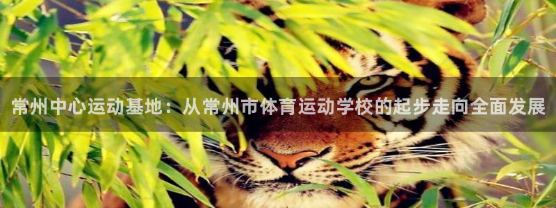千亿国际官网下载平台注册要钱吗：常州中心运动基地：从
