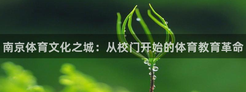 千亿国际官网下载平台假的吗是真的吗：南京体育文化之城