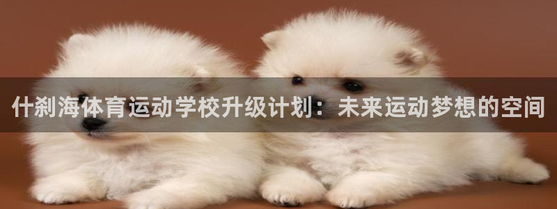 千亿国际官网下载娱乐：什刹海体育运动学校升级计划：未