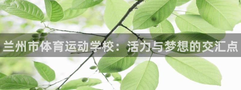 千亿国际官方正版app娱乐首页官网下载：兰州市体育运