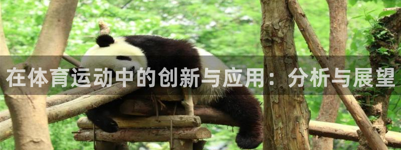 千亿国际官网下载平台：在体育运动中的创新与应用：分析