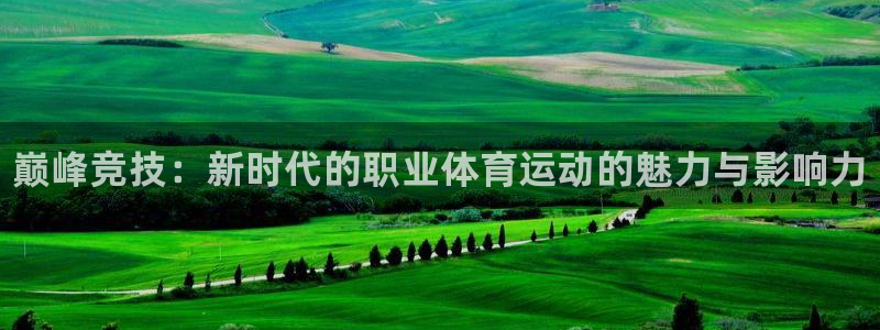 千亿国际官方正版app官方：巅峰竞技：新时代的职业体