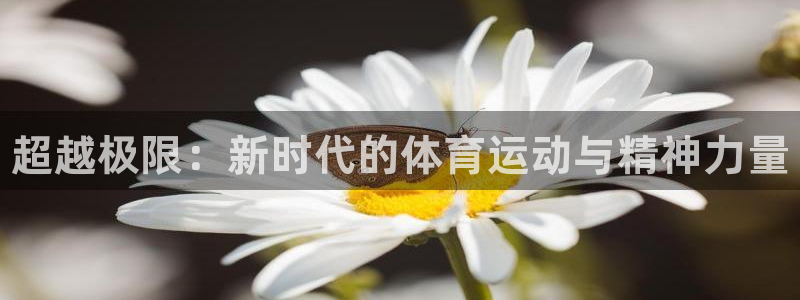 千亿国际官网下载联系电话：超越极限：新时代的体育运动与精神力