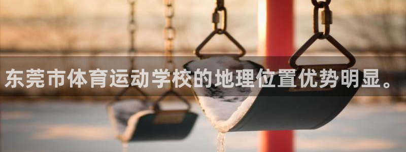 千亿国际官网下载平台注册要钱吗是真的吗：东莞市体育运