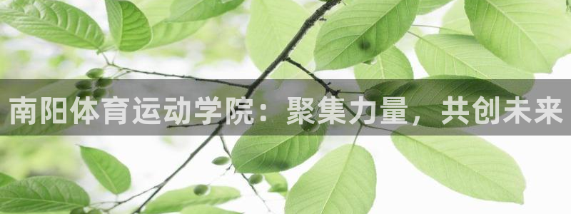 千亿国际官网下载平台注册要钱吗安全吗：南阳体育运动学院：聚集