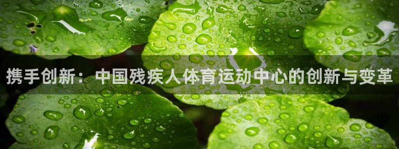 千亿国际官网下载平台注册流程视频：携手创新：中国残疾人体育运