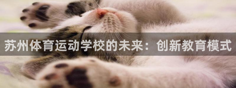 千亿国际官方正版app集团E.ON：苏州体育运动学校的未来：