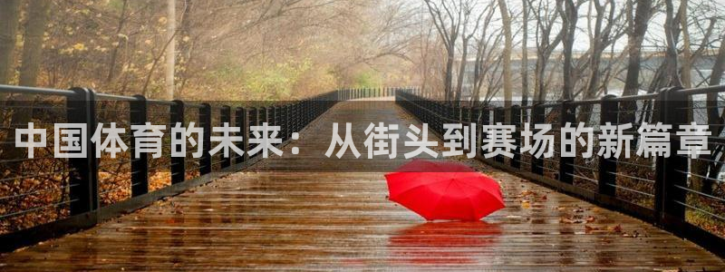 千亿国际官方正版app娱乐首页网站大全：中国体育的未来：从街