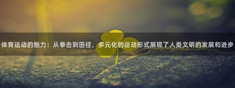 千亿国际官网下载招商电话号码：体育运动的魅力：从拳击