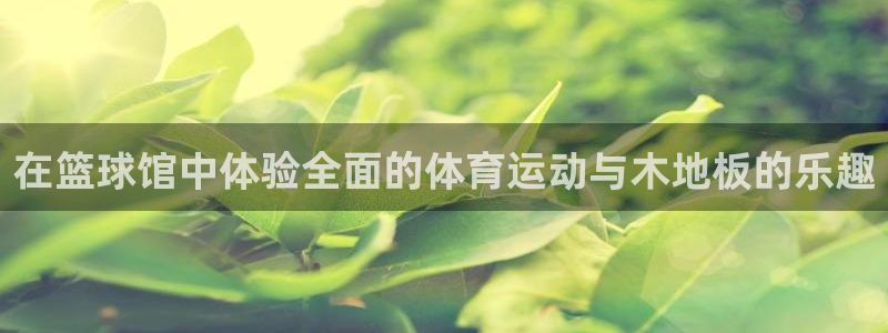 千亿国际官网下载平台注册要钱吗是真的吗：在篮球馆中体