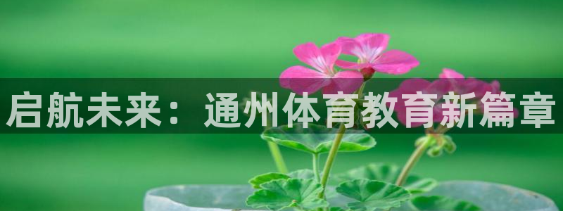 千亿国际官方平台体育：启航未来：通州体育教育新篇章