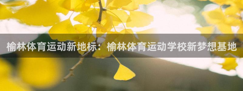 千亿国际官网下载招商电话号码是多少啊:榆林体育运动新地标:榆