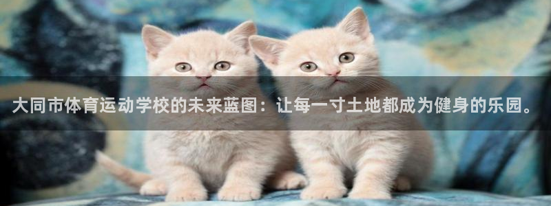 千亿国际官方正版app娱乐首页网站大全：大同市体育运