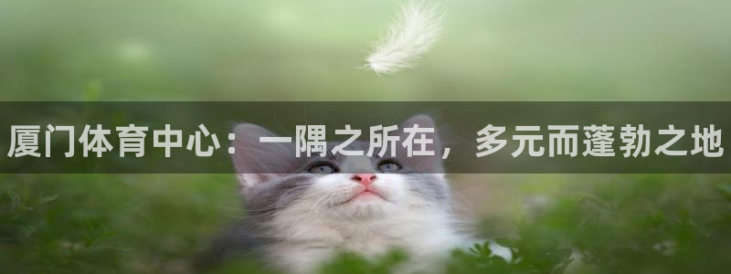 千亿国际官方正版app五金厂