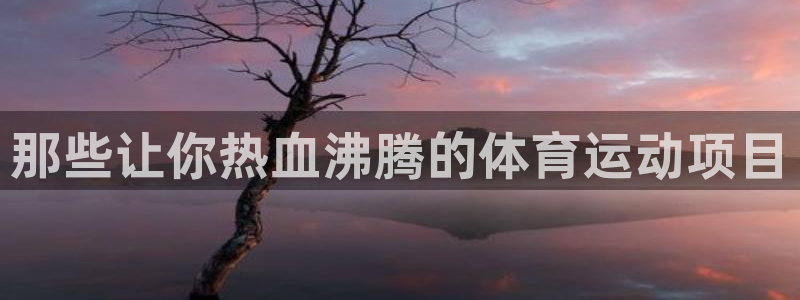千亿国际官网下载开户：那些让你热血沸腾的体育运动项目