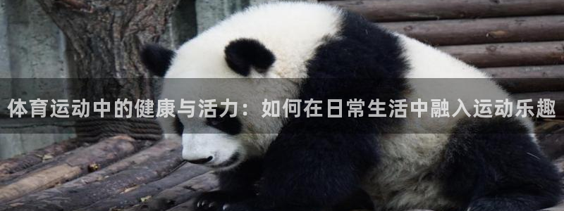 千亿国际官方正版app新能源：体育运动中的健康与活力：如何在