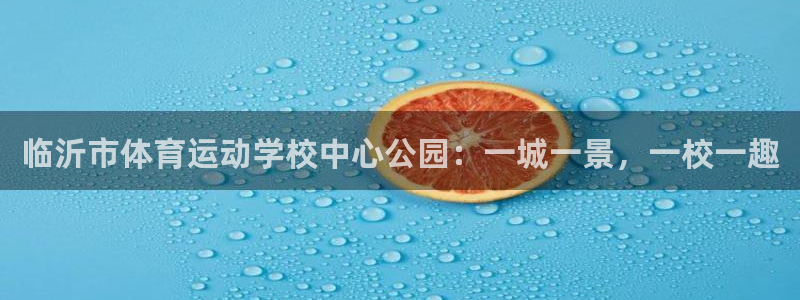 千亿国际官方正版app娱乐平台:临沂市体育运动学校中心公园: