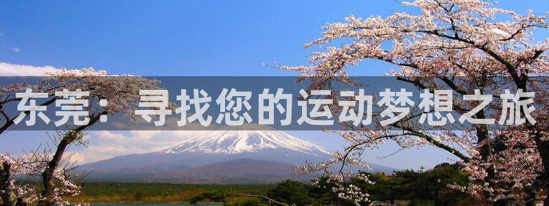 千亿国际官网下载是干嘛的公司：东莞：寻找您的运动梦想之旅