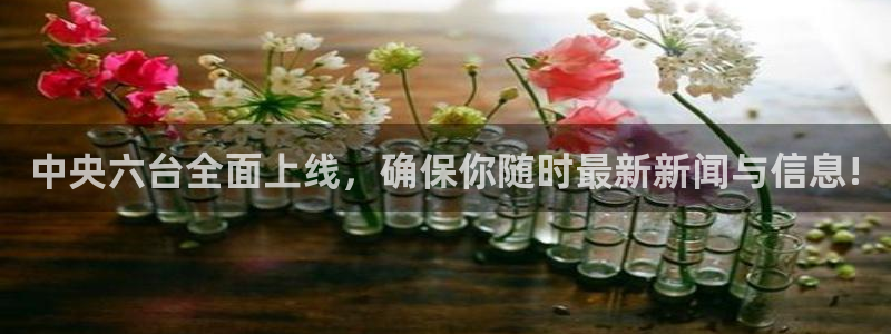 球神直播足球直播在线观看