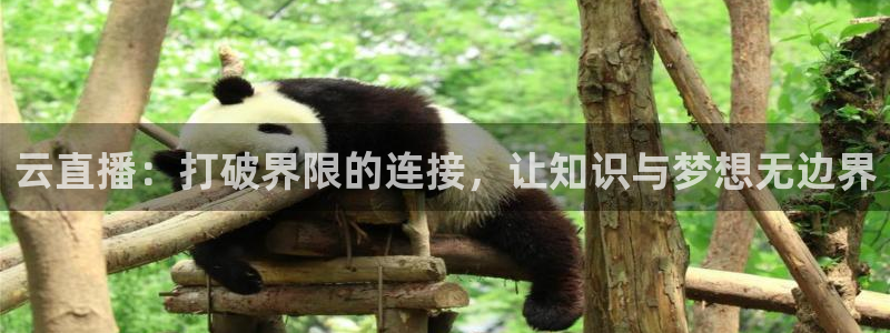 球神体育直播官网