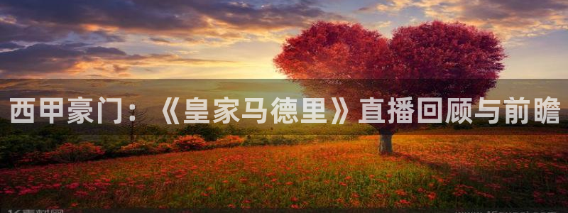 球神直播体育在线观看：西甲豪门：《皇家马德里》直播回顾与前瞻